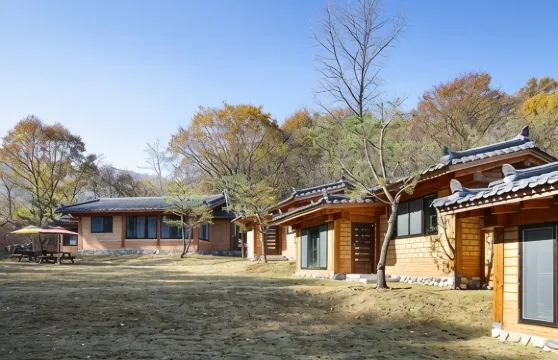 楊平郡莫瑟戈王圖邦旅館