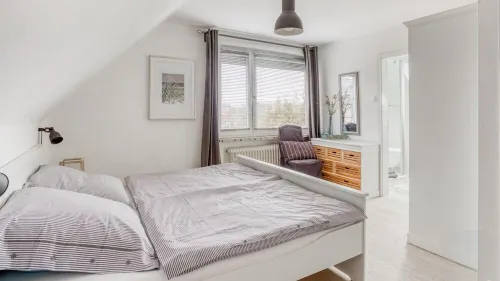 Large house in Nordic modern style