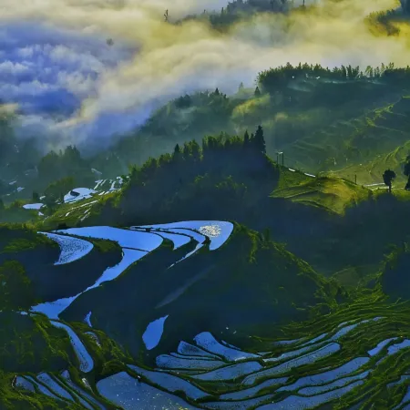 Yunhe Fengyun Farm