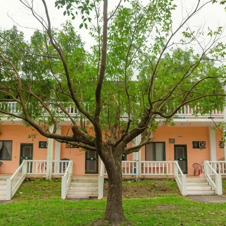 Ruisui Village Homestay Отели рядом с достопримечательностью «Ранчо Жуйсуй»