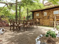 Villa Tamadaba Rural Home + Fast WiFi, Near Ocean, Pet Friendly