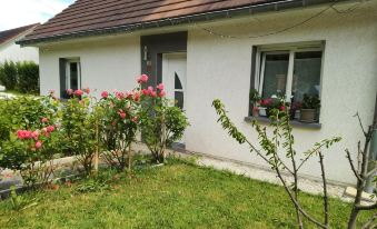 Séjour chaleureux chambre chez l habitant - Housity