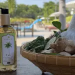 The Mangrove Hotel - spa