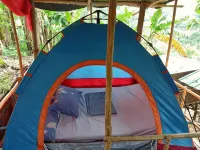 Raw Camping at Camping Paradise Singalong Mountain Garden