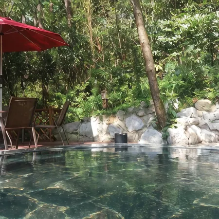 Forest Hot Spring Hotel