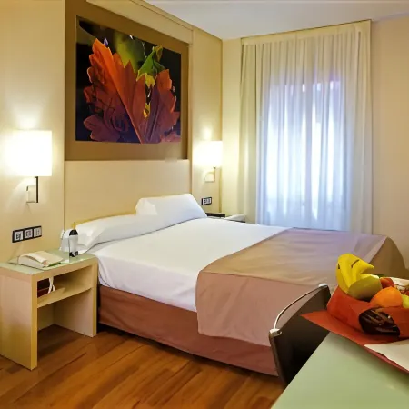 Hotel Condes de Haro