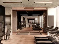 Mercure Szczyrk Resort - Gym