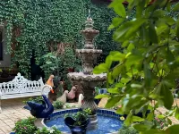 Copa de Oro Hotel Boutique Hotels in Mascota