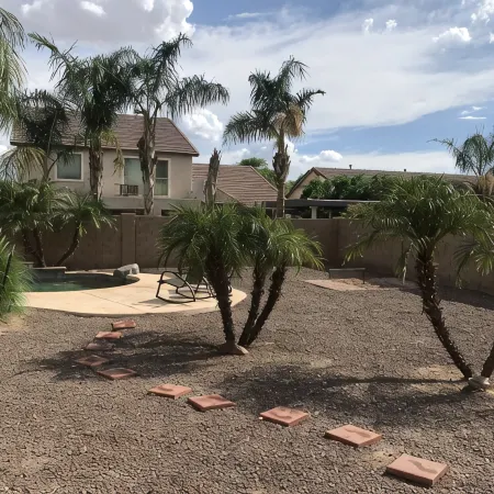 Surprise Oasis, Large Back Yard , Pool, Fun In The Sun, Private.