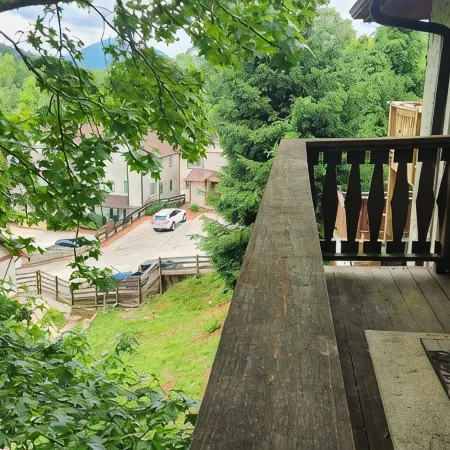 The Lazy Bear Condominium- Pet Friendly!