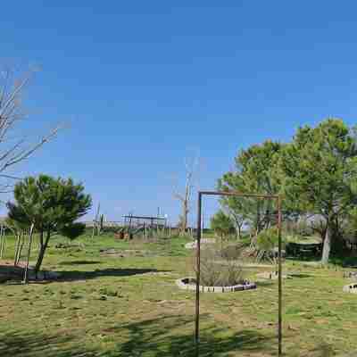 Casa Rural con Finca Privada de 5000 Metros a 4 km de Salamanca Hotel Exterior