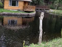Silver creek cabin Hotels in Alcona County