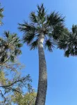 Perfect for Golfer's, P-baller's and Beach Goer's! - Villas