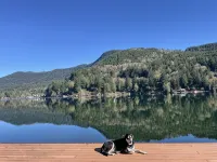 Cozy Cabin on Lake Sutherland with hot tub, huge dock and kayaks! - 샬레 호텔