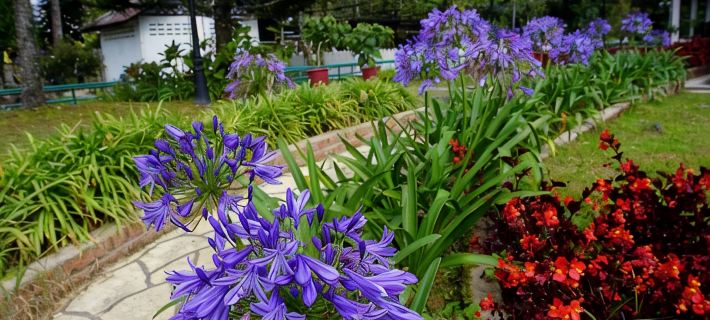 Sweet home Ch 1 Hotels in Tanah Rata