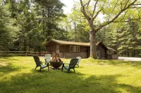 Remodeled Cook Forest Cabin
