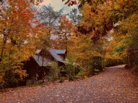 1800's Original Cozy Romantic Cabin For 2 Or The Family