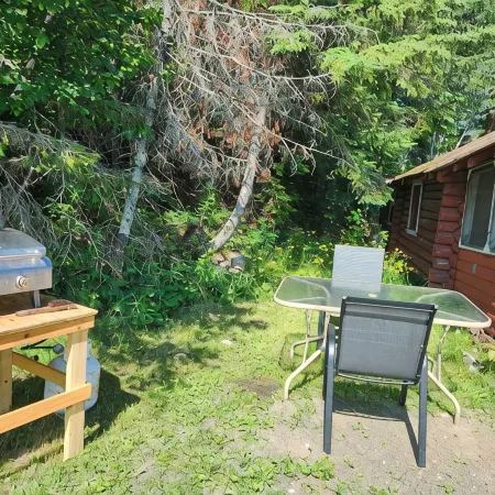 Rustic Log Cabin #8 on Crow Lake at Bull Moose Lodge. Family and pet friendly