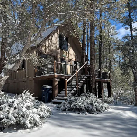 Family-sized, quaint cabin on the edge of the US Forest