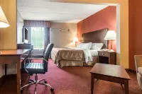 Quality Inn & Suites - Lemmikkieläimet sallittu