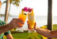 Paradise Taveuni - bar