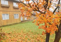 蔵王Liza 伍迪小屋 - Villa