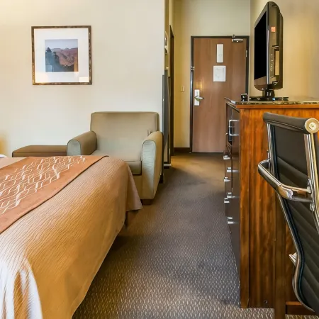 Comfort Inn & Suites Midtown
