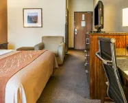Comfort Inn & Suites Midtown