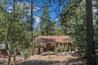 Central Heat & Air, WiFi, Wall Mural and Fully Fenced Minutes from Downtown - Hytter