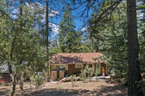 Central Heat & Air, WiFi, Wall Mural and Fully Fenced Minutes from Downtown