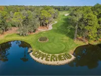 Cozy 1-bedroom condo in the heart of Innisbrook prestigious Golf Course’s - 3つ星
