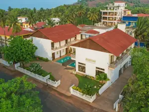 The Ivy Anjuna