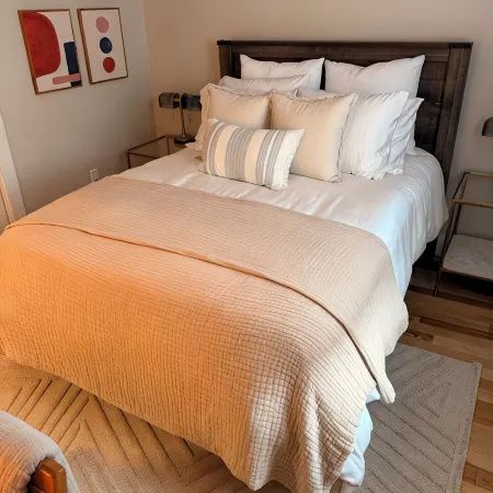 Modern One Bedroom Apartment in the Heart of Downtown Ann Arbor