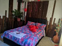 The Frailejon House - 別墅