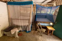 Mida Creek Eco Camp - Eco Lodge
