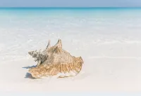 Romantic Cottage directly on the Beach! - 3 tähden
