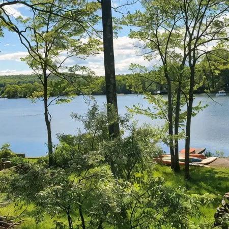 Charming 2-bedroom cabin with a stunning view