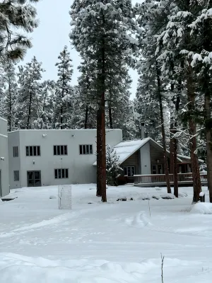 Home in the Bitterroots