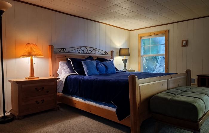 The Blue Rose Cottage - Amazing Views - Direct Beach Access - Pets Allowed