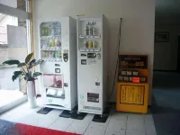 Business Hotel Tsuwano - parcheggio