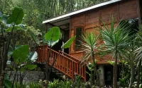 Maniva Particael Resort - Bintang 1