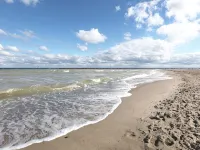Holiday house with fireplace, near the beach, dogs welcome - Homestays