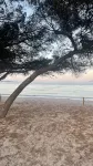 Apartment with a view of Lago Esperanza (2) - 2-Star