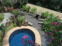 Nanga Damai Homestay - Pensions