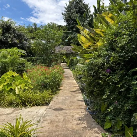 Honey Home Pai
