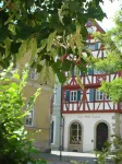 Bayerischer Hof Отели в г. Визенбронн