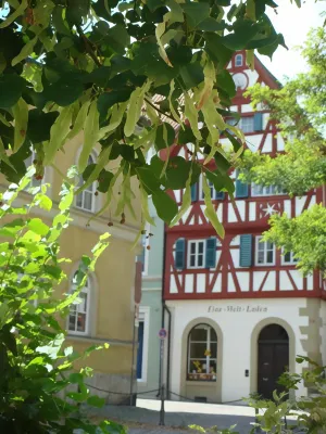 Bayerischer Hof Hotels in Seinsheim