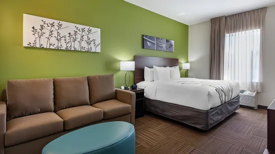 Sleep Inn & Suites Tampa South