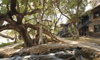 a large tree with twisted branches and a water source , surrounded by trees and a house at Sarova Shaba Game Lodge
