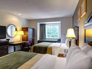 Comfort Inn & Suites Airport Dulles-Gateway